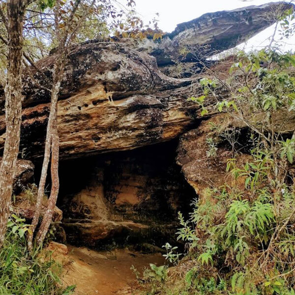 Foto: Fabiano Vieira da Silva, 2023 (Google)