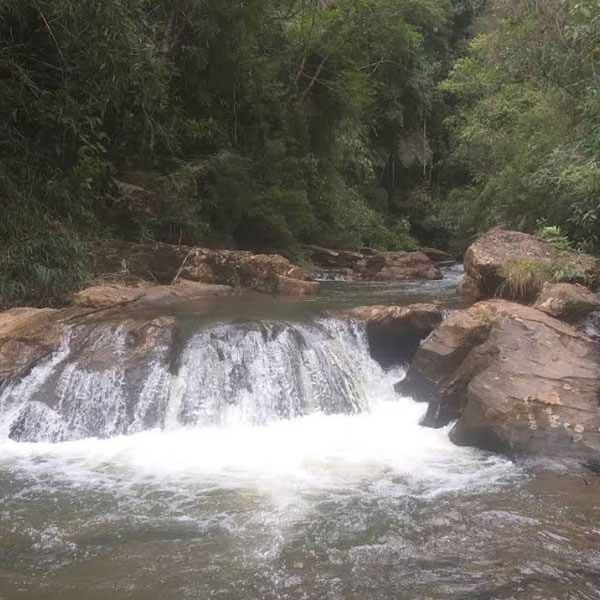 Foto: Bruno Araújo, 2024 (Google)