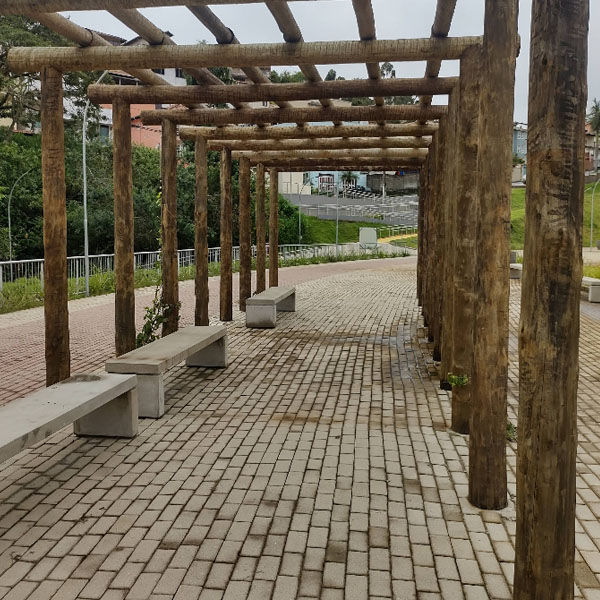 Foto: Suely Aparecida Silva, 2022 (Google)