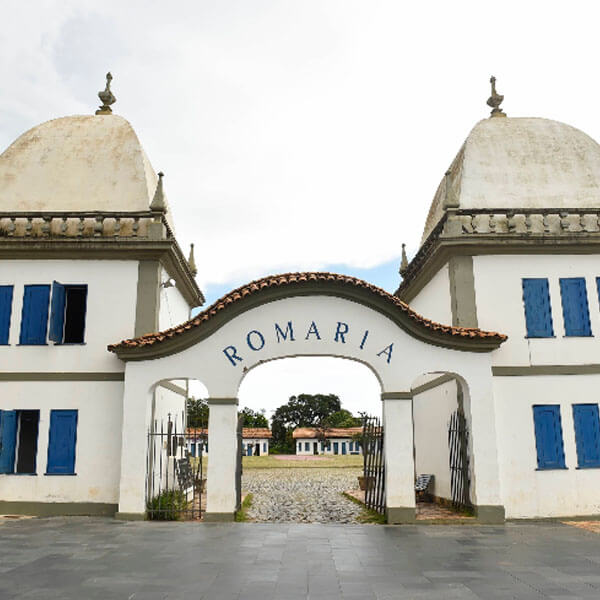 Foto: Piter Laurent, 2018 (Google)