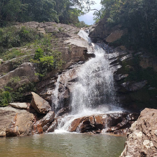 Foto: Alexandre Alvarenga, 2019 (Google)