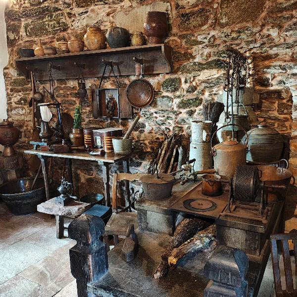 Foto: Massao Kodama Dourado, 2025 (Google)