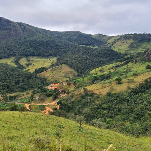 Foto: Marcia Melo, 2021 (Google)