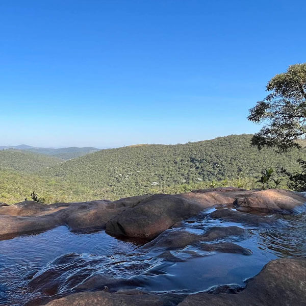 Foto: Paulo JC “Fiscal da Natureza” N, 2022 (Google)